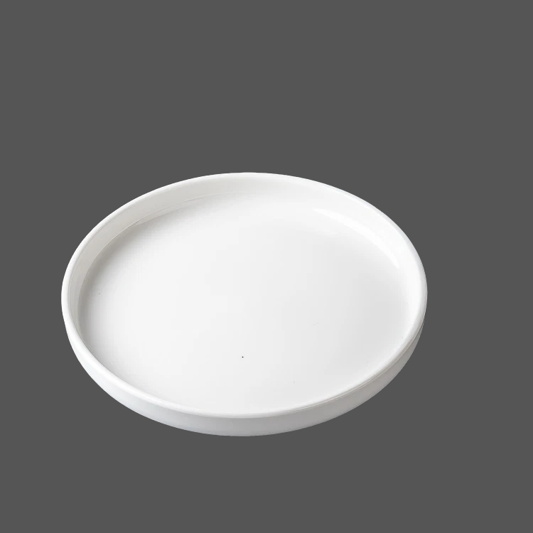 Pure White Ceramic Plate - X022909